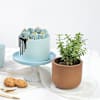 Sweet Prosperity Gift Combo Online