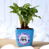 Syngonium Plant For Mom In Blue Ceramic Planter Online