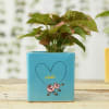 Gift Syngonium Plants in Personalized Heart Printed Ceramic Pots