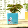 Gift Syngonium Plants in Personalized Heart Printed Ceramic Pots