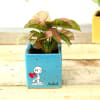 Buy Syngonium Plants in Personalized Heart Printed Ceramic Pots