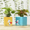 Syngonium Plants in Personalized Heart Printed Ceramic Pots Online