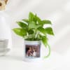 Gift Teaching Future Leaders - Money Plant In Personalized Mug