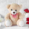 Buy Teddy and Chocolate Gift Hamper