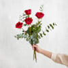 Tendresse et ses chocolats - Tenderness and chocolates Online