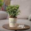 Thank You for Helping Me Grow Crassula Green Plant For Mom Online