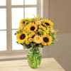 The FTD Daylight Bouquet Online