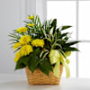 The FTD Loving Light Dishgarden Online