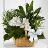 The FTD Peace And Serenity Dishgarden Online
