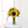 The FTD Sunshine Daydream Bouquet Online