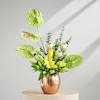 Shop The Green Haven