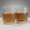 Gift The Problem Solver Set of Two Whiskey Glasses