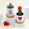 Gift The Romantic Duo (set of 2 succulents)