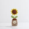 Shop Timeless Personalized Crochet Sunflower