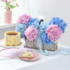 Tranquil Blooms Basket With Tiramisu Cake Online