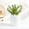 Buy Tranquil Jade With Metal Diyas Diwali Gift Set
