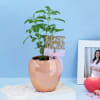 Tulasi Plant With A Special Copper Planter for Mother's Day Online