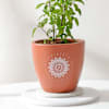 Buy Tulsi Plant And Om Terracotta Planter