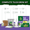 Gift Tulsi Plant Grow Kit
