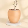 Shop Tulsi Plant With A Special Copper Planter for Mother's Day