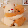 Two Cute Teddies Hugging Soft Toy Online