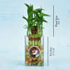 Two Layer Lucky Bamboo In Personalized Pot (Mild Light/Less Water) Online
