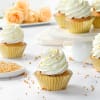 Vanilla Cupcakes (Box of 6) Online