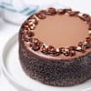 Shop Velvet Hazelnut Cake