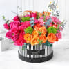 Vibe With You Friendship Day Flowers Online