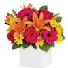 Vibrant Bliss Mixed Flower Bouquet Online