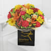 Gift Vibrant Hand Tied (Extra Large)