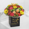 Buy Vibrant Hand Tied (Large)