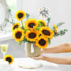 Gift Vibrant Sunflower Friendship Day Arrangement