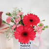 Buy Warmful Blooms in a Mug