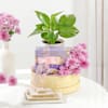 Gift Wellness And Indulgence Hamper