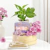Wellness And Indulgence Hamper Online