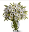 White Daisy Bouquet Online