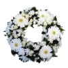 White Wreath Online
