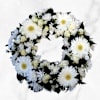White Wreath Online