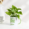 Buy Wishing Tree Rakhi And Money Plant With Personalized Mug Planter