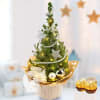 X-MAS Tree Sternenglanz with XMAS lightsand with 2 Ferrero Rocher Online