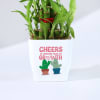 Gift Year Of Growth 2-Layer Bamboo Plant