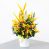 Yellow Orchids and Tropicals Online