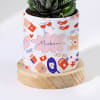 Gift You Are Mine - Haworthia Succulent With Personalized Planter