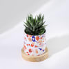 Buy You Are Mine - Haworthia Succulent With Personalized Planter