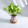 Buy You Are Mine - Money Plant With Personalized Planter