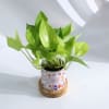 Shop You Are Mine - Money Plant With Personalized Planter