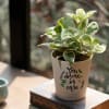 You Deserve Self-care Money Plant N'Joy Customized with logo Online