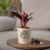 You Deserve Selfcare Stromanthe Triostar Plant Customized with logo Online