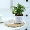 Shop You Won My Heart - Jade Plant With Self-Watering Planter